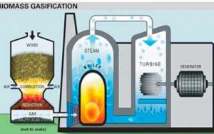 biomass--gasification