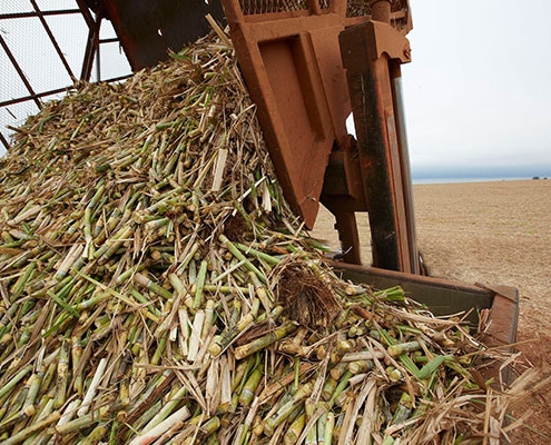 Agricultural-waste