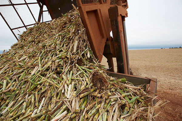 Agricultural-waste