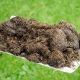 Animal-Manure-Waste