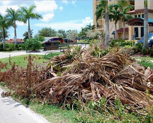 Landscaping Waste