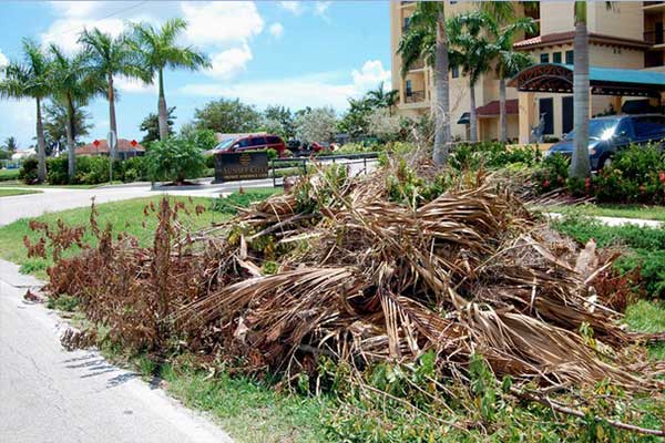 Landscaping Waste