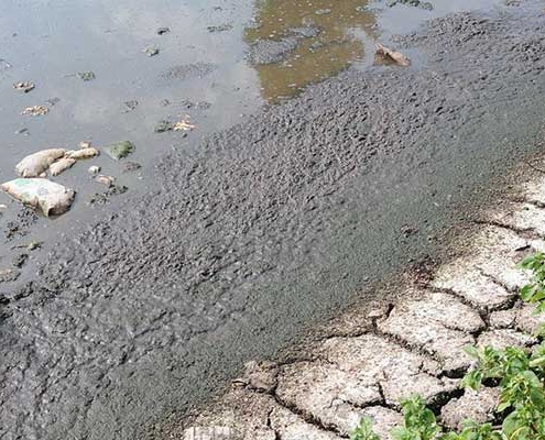 Lodos de aguas residuales