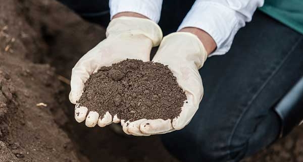 contaminated soil treatment