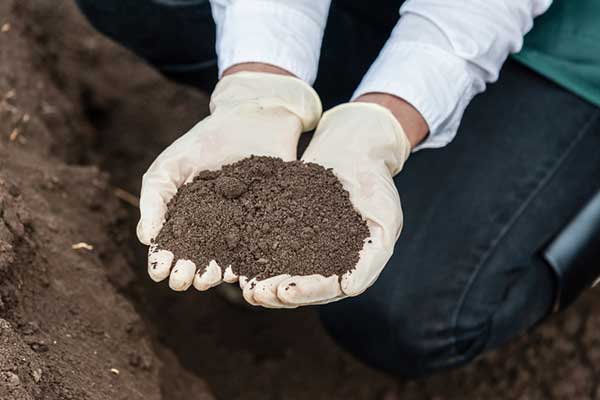 Tratamiento de suelos contaminados