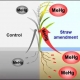 Straw gasification power generation