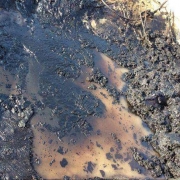 Oil sludge