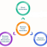 Biomass power generation process