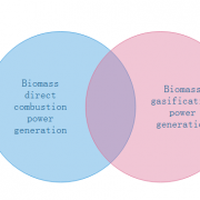 Technical comparison between biomass direct combustion power generation and biomass gasification power generation