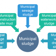 municipal sludge