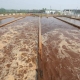 Industrial wastewater treatment