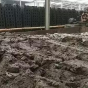 Sludge building materials utilization technology