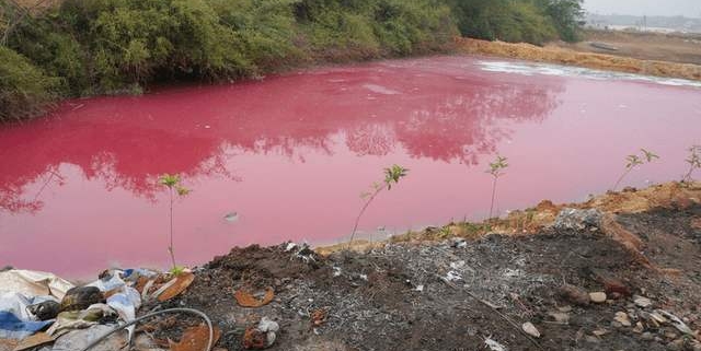 heavy metal contaminated soil