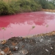 suelo contaminado con metales pesados