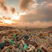 solid wastes